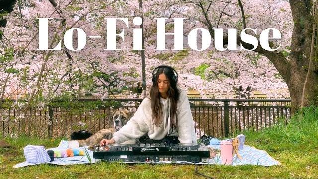 Relaxing lo-fi house music mix - cherry blossom picnic set in tokyo Relaxing lo-fi house music mix - cherry blossom picnic set in tokyo