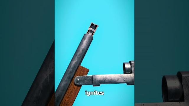How a shotgun shell works How a shotgun shell works