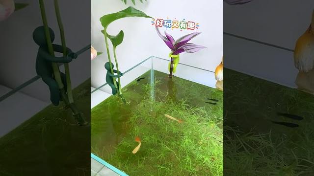 Just this little gadget, just sit on the tank, and you can easily achieve #fish #guppy #tools #diy Just this little gadget, just sit on the tank, and you can easily achieve #fish #guppy #tools #diy