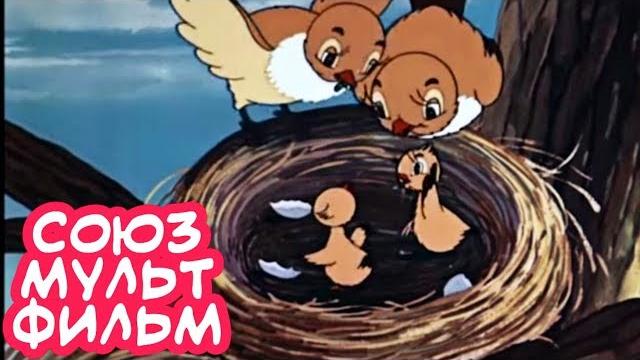 Прелестный мультик! "кукушка и скворец" союзмультфильм. советские мультики для детей Прелестный мультик! "кукушка и скворец" союзмультфильм. советские мультики для детей