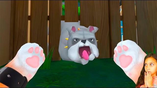 Папа кот выгулял собачку i am cat vr валеришка Папа кот выгулял собачку i am cat vr валеришка