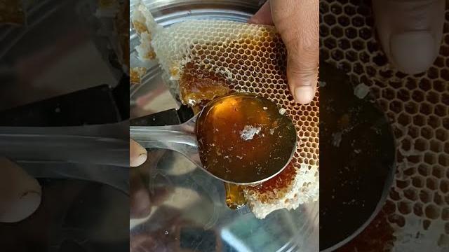 100 % pure honey #shorts #purehoney #honeybees #shortsfeed 100 % pure honey #shorts #purehoney #honeybees #shortsfeed