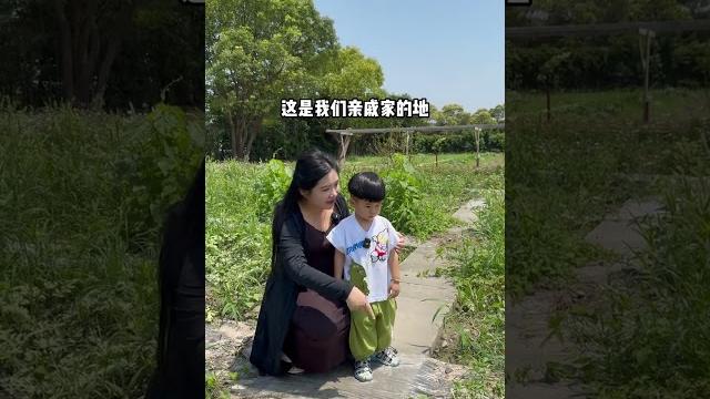 这姑姑真坏把侄子吓到了 这姑姑真坏把侄子吓到了