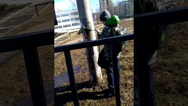 Что случилось со стасом? Что случилось со стасом?