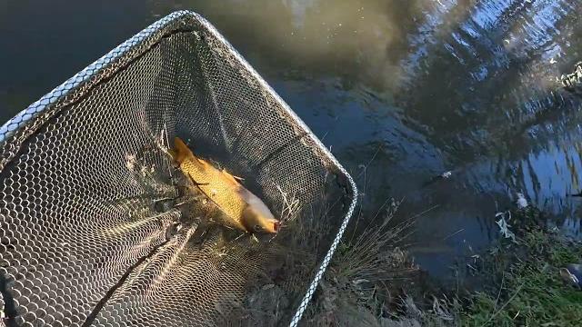 Well this was a bizarre catch! Well this was a bizarre catch!