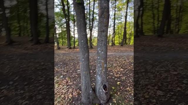 Моя золотая осень в болдино Моя золотая осень в болдино