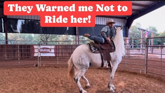 First ride on bucking bred horse! raw footage of entire video First ride on bucking bred horse! raw footage of entire video