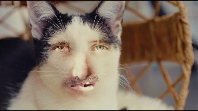 Band of horses - crutch (official video) Band of horses - crutch (official video)