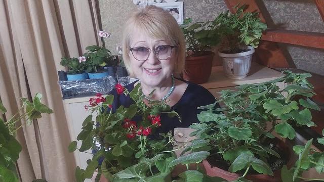 #10#обрезка пеларгонии весной# #10#обрезка пеларгонии весной#