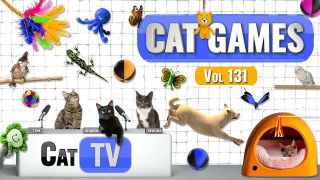 Cat games | ultimate cat tv compilation vol 131 | 8 hours Cat games | ultimate cat tv compilation vol 131 | 8 hours