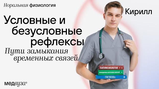 Условные и безусловные рефлексы | пути замыкания временных связей | нормальная физиология Условные и безусловные рефлексы | пути замыкания временных связей | нормальная физиология