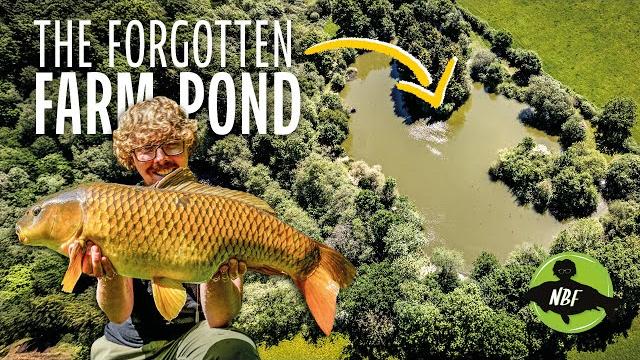 The forgotten farm pond | carp fishing uk The forgotten farm pond | carp fishing uk