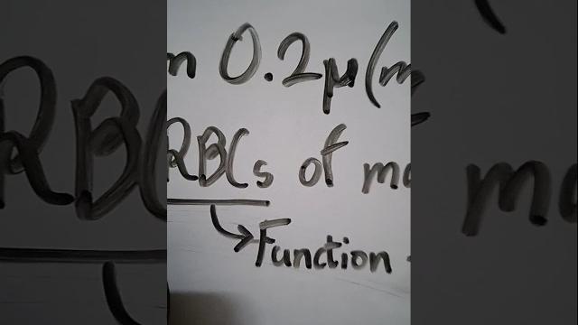 Mitochondria #shorts #shorttrick #shortnotes #shortvideo #cells #prashantkirad #physicswallah #viral Mitochondria #shorts #shorttrick #shortnotes #shortvideo #cells #prashantkirad #physicswallah #viral