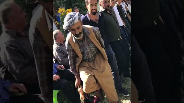 Kurdish dance - halay || (natti - himachali songs 2019) #halay #natti #turkish #himachali #kurdish Kurdish dance - halay || (natti - himachali songs 2019) #halay #natti #turkish #himachali #kurdish