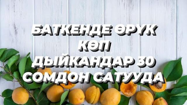 Баткенде өрүк көп, дыйкандар 30 сомдон сатууда Баткенде өрүк көп, дыйкандар 30 сомдон сатууда