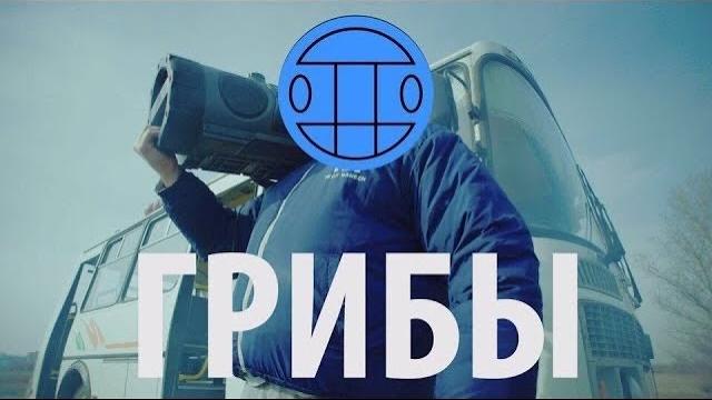 Грибы - тает лёд Грибы - тает лёд