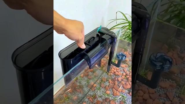Hang on back filter for aquarium | how to get crystal clear aquarium water | aquarium filter | #fish Hang on back filter for aquarium | how to get crystal clear aquarium water | aquarium filter | #fish
