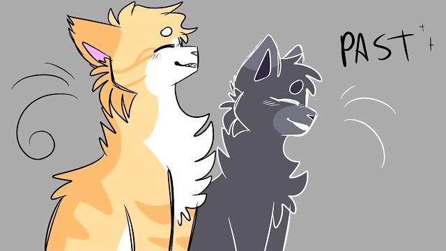 Clarity | vent pmv Clarity | vent pmv