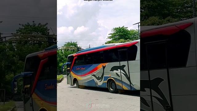 Sumber selamat. ratu moeeza. #indonesia #cinematikbus #madiunhits #bismania #storywa #madiun Sumber selamat. ratu moeeza. #indonesia #cinematikbus #madiunhits #bismania #storywa #madiun