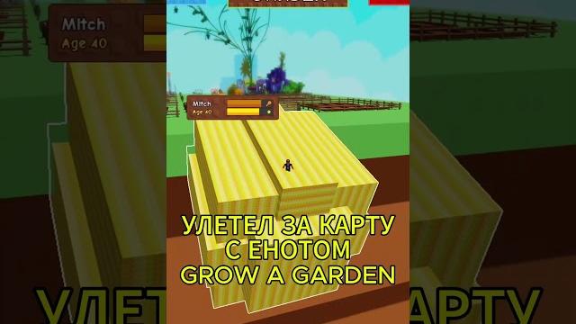 Енот унёс меня за карту в grow a garden Енот унёс меня за карту в grow a garden