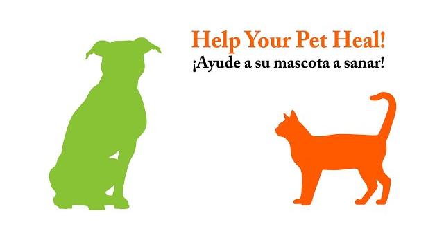 Help your pet heal! spay/neuter clinic postoperative healing instructions (pre-scrotal) Help your pet heal! spay/neuter clinic postoperative healing instructions (pre-scrotal)