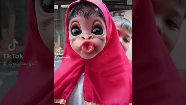 Cilukkk baa #baby #beranda #videoshort #cilukba Cilukkk baa #baby #beranda #videoshort #cilukba
