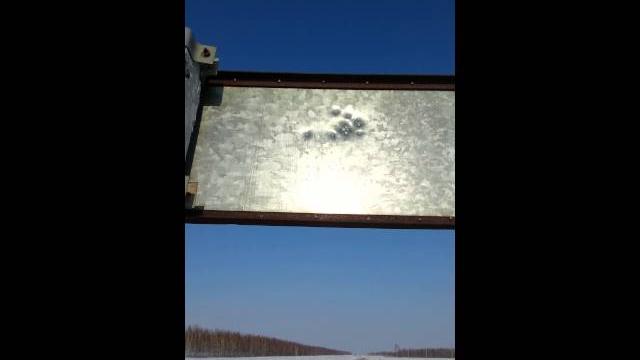 Тайпан мутант отстрел 96м Тайпан мутант отстрел 96м