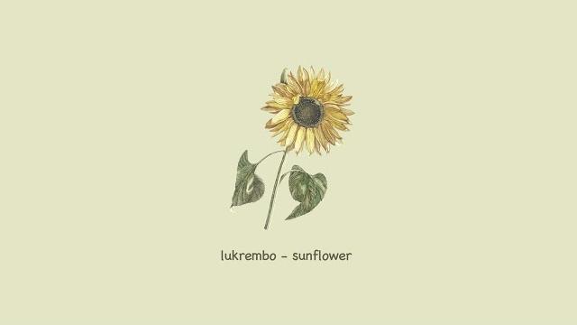 Lukrembo - sunflower (royalty free vlog music) Lukrembo - sunflower (royalty free vlog music)
