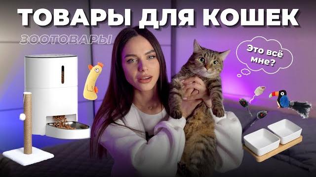 Прикольные товары для кошек - распаковка wildberries, aliexpress | вещи для животных - кошки/собаки Прикольные товары для кошек - распаковка wildberries, aliexpress | вещи для животных - кошки/собаки