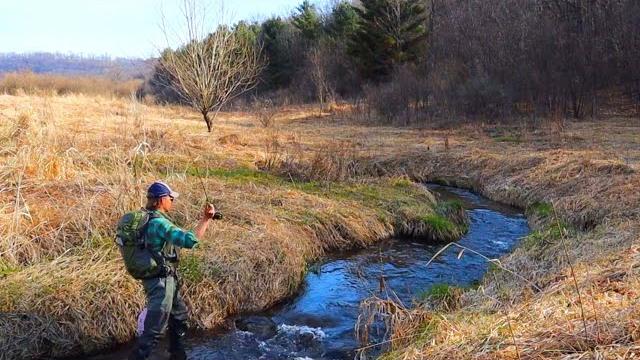Fly fishing tiny meadow | wisconsin driftless region trout fishing | early spring can be good! Fly fishing tiny meadow | wisconsin driftless region trout fishing | early spring can be good!