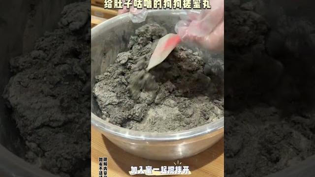 肚子咕噜的狗狗 #萌宠出道计划 #科学养宠攻略 #狗狗 #猫咪 #萌宠 肚子咕噜的狗狗 #萌宠出道计划 #科学养宠攻略 #狗狗 #猫咪 #萌宠