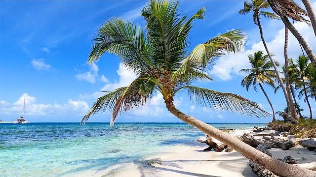 Hidden tropical beach ambience in panama Hidden tropical beach ambience in panama