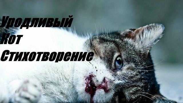 Стих. уродливый кот.stih_urodlivyj_kot Стих. уродливый кот.stih_urodlivyj_kot