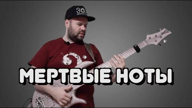 Все об игре мертвых нот на бас гитаре / ghost notes Все об игре мертвых нот на бас гитаре / ghost notes