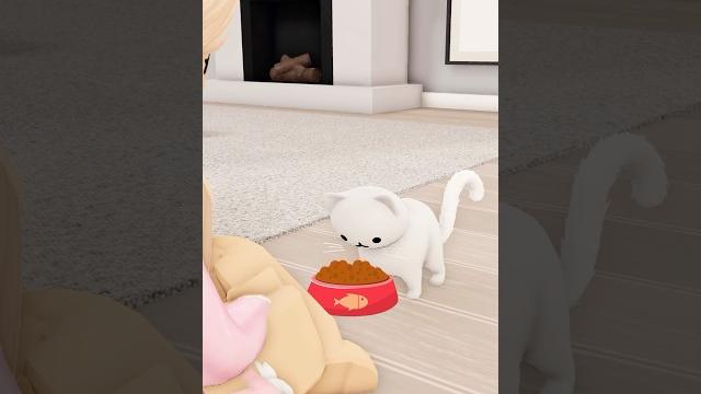 Kitty saw the future in roblox.. #roblox #berry #shorts Kitty saw the future in roblox.. #roblox #berry #shorts