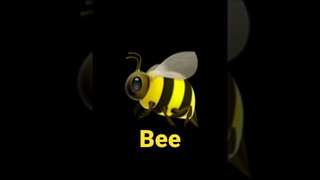 Bee sound effect Bee sound effect