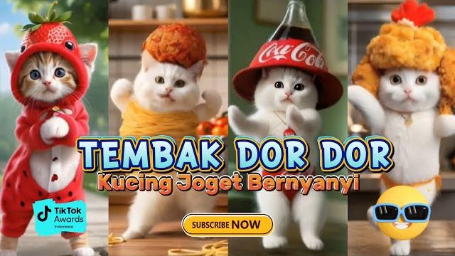 Tembak dor dor versi kucing oren lucu terbaru Tembak dor dor versi kucing oren lucu terbaru