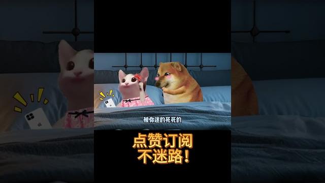 当你有个涩涩的男朋友… #cheems小劇場 #搞笑 #cheems #情侣#男朋友 当你有个涩涩的男朋友… #cheems小劇場 #搞笑 #cheems #情侣#男朋友