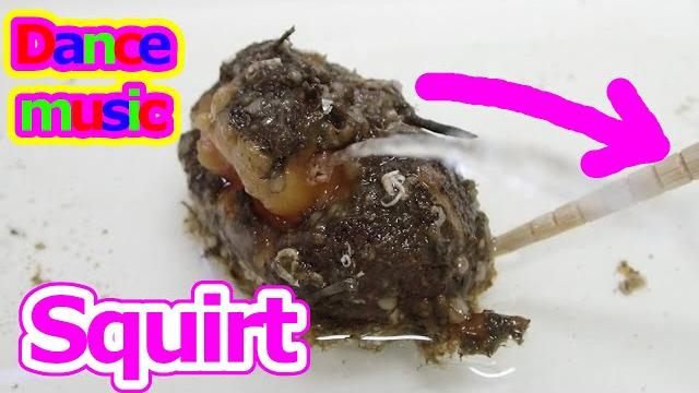 Squirting dance music! chorro сквиртинг muncrat stropind sea squirt is dancing to club music! Squirting dance music! chorro сквиртинг muncrat stropind sea squirt is dancing to club music!