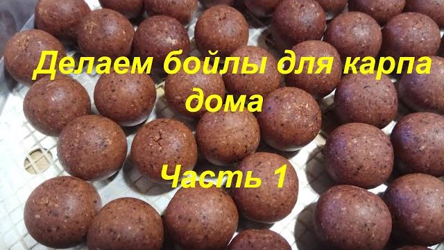 Делаем бойлы для карпа дома. часть i Делаем бойлы для карпа дома. часть i