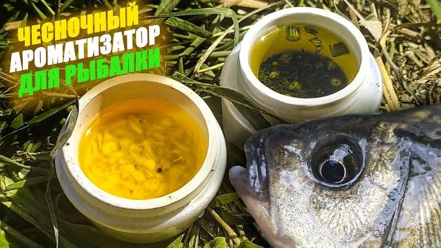 Как сделать чесночный ароматизатор для рыбалки своими руками? сделал 2 дипа и сравнил их на рыбалке Как сделать чесночный ароматизатор для рыбалки своими руками? сделал 2 дипа и сравнил их на рыбалке