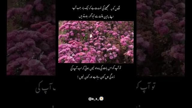 #love #poetry #love #poetry