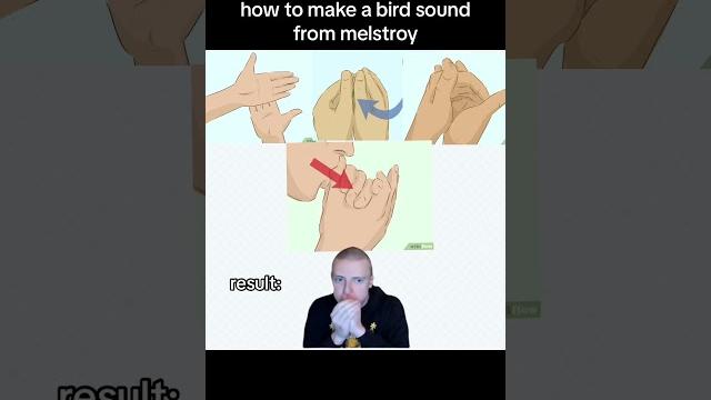 Tutorial mellstroy #tutorial #birds #mellstroy #memes Tutorial mellstroy #tutorial #birds #mellstroy #memes