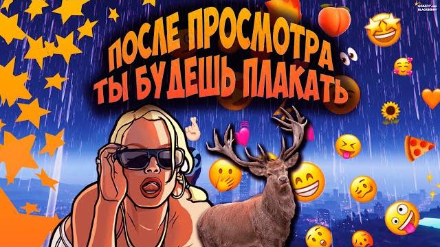 Работа сутенером, самый быстрый олень в штате, порвало от смеха blackberry gta 5 rp / гта 5 рп Работа сутенером, самый быстрый олень в штате, порвало от смеха blackberry gta 5 rp / гта 5 рп