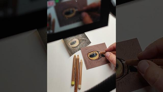 Drawing a goat eye! Drawing a goat eye!