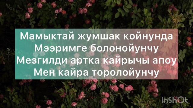 Апа,кайрадан жаралайынчы-текст песни Апа,кайрадан жаралайынчы-текст песни