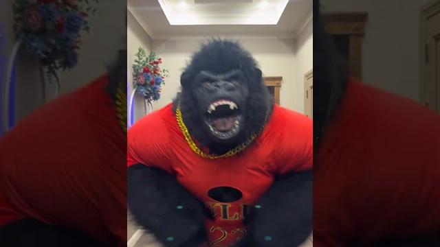 Новый тренд #горилла #кингконг#monkeybanana Новый тренд #горилла #кингконг#monkeybanana