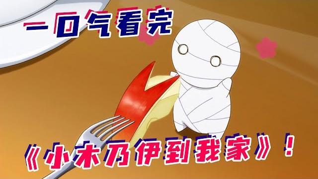 少年养了只木乃伊当宠物?小小一只超粘人,还会撒娇卖萌做家务?一口气看完治愈番《小木乃伊到我家》 少年养了只木乃伊当宠物?小小一只超粘人,还会撒娇卖萌做家务?一口气看完治愈番《小木乃伊到我家》