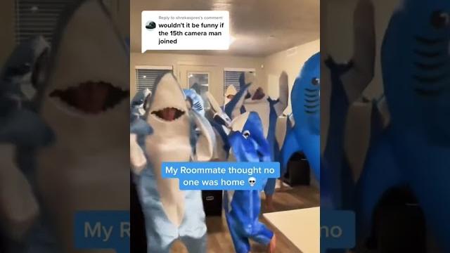 15th camerman joins viral sharks #leftshark #katyperry #dancingshark #dancingsharks #californiagurls 15th camerman joins viral sharks #leftshark #katyperry #dancingshark #dancingsharks #californiagurls