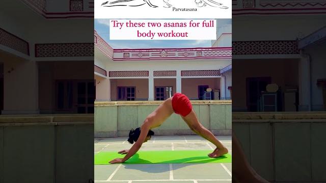 Try these two asanas for full body workout #yogi #hathayoga #yoga #yogini #rishikesh #rishikeshyoga Try these two asanas for full body workout #yogi #hathayoga #yoga #yogini #rishikesh #rishikeshyoga